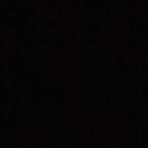 Meet your Posher, Sadie